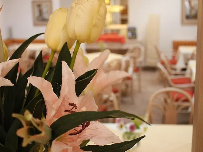 杜塞尔多夫城市酒店 3* 杜塞尔多夫